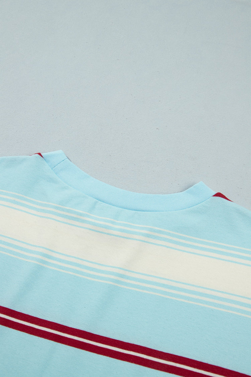 Striped Long Sleeve Top for Women with Contrast Striped Sleeves in Sky Blue Stripe, back neckline detail