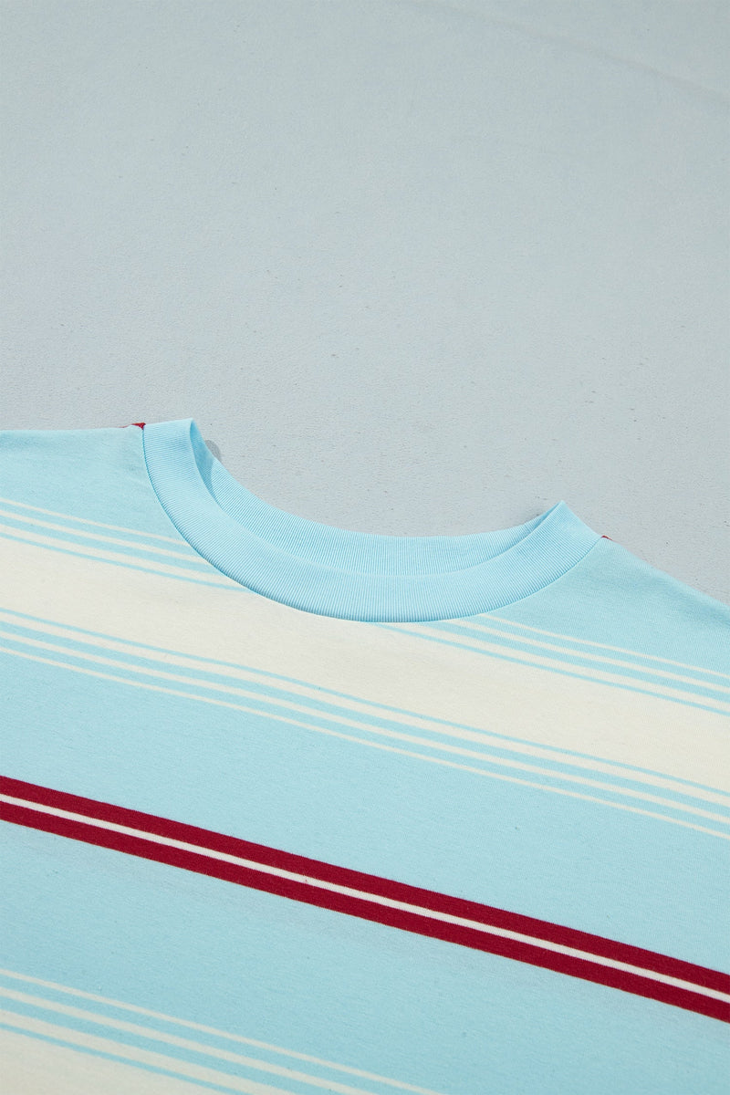 Striped Long Sleeve Top for Women with Contrast Striped Sleeves in Sky Blue Stripe, neckline detail